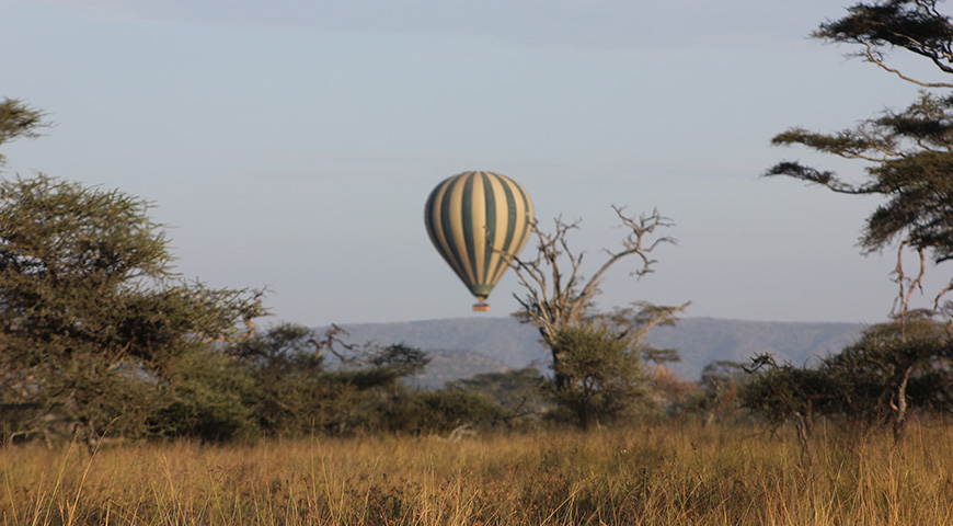 balloon safari