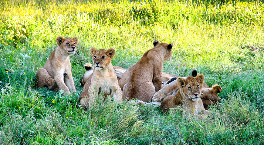 southern tanzania