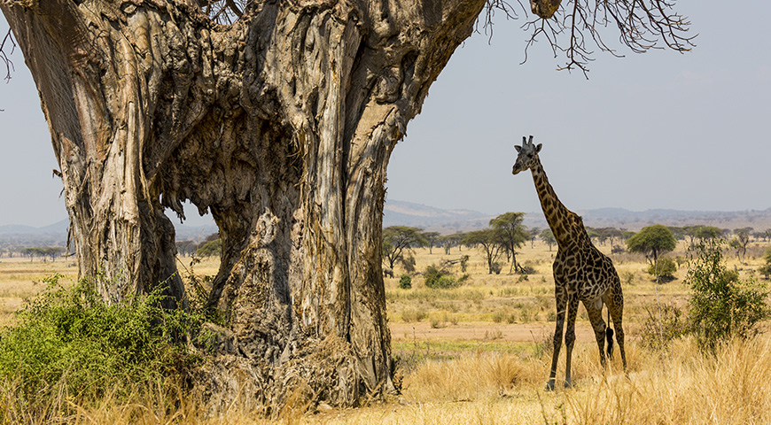 southern tanzania