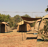 Tanzania Camping Safari