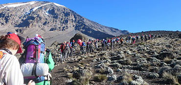 Kilimanjaro trekking